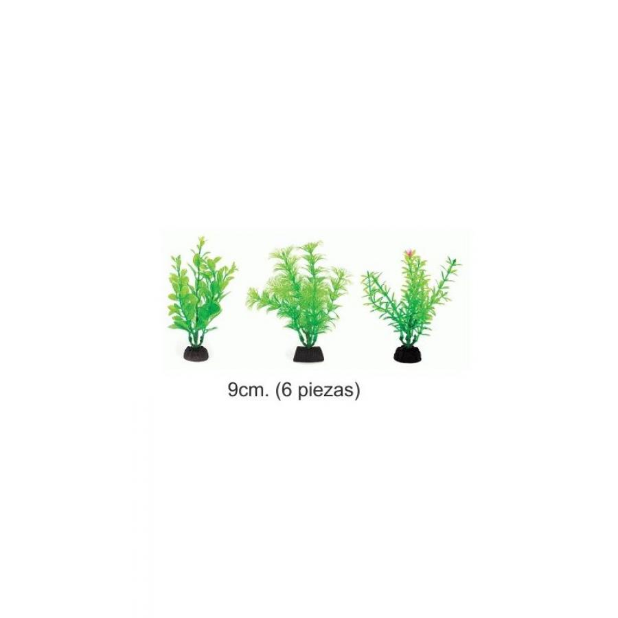 PLANTA AQUA GREEN 9cm. 6 piezas