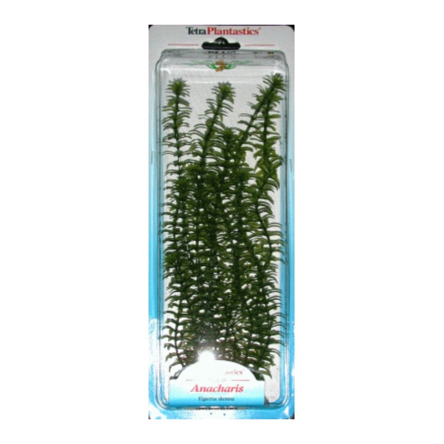 PLANTA ANACHARIS PLUS,20-25 CM. - Imagen 1