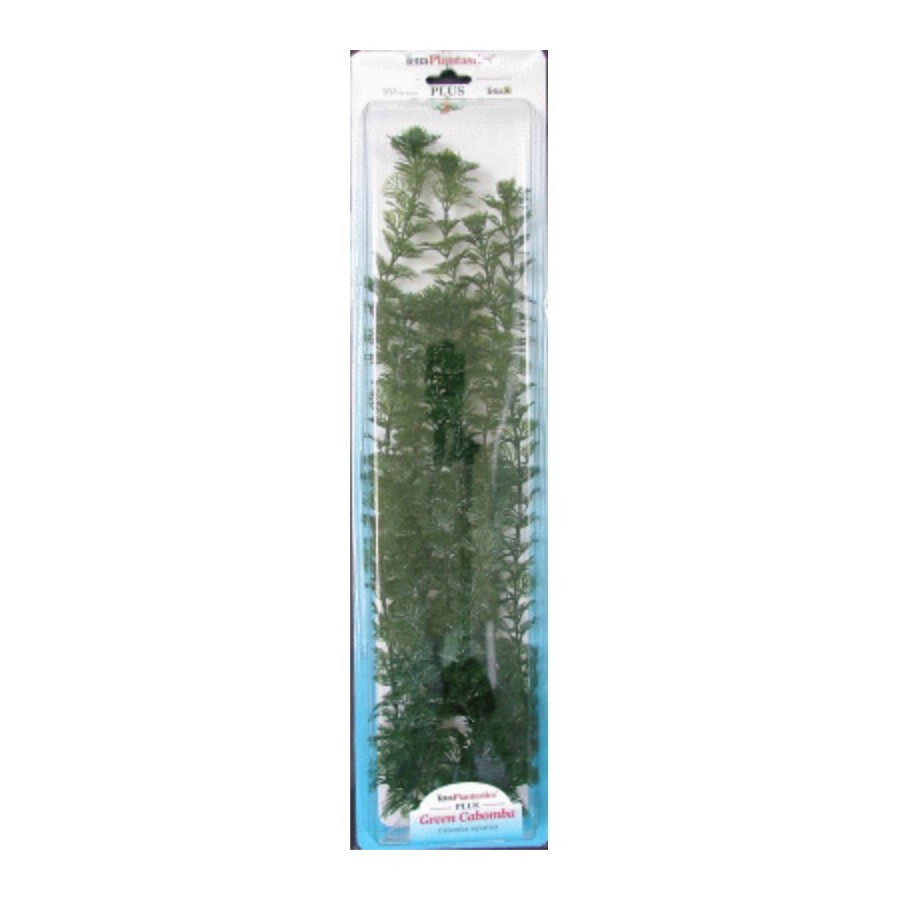 PLANTA CABOMBA PLUS (28-33cm) L - Imagen 1