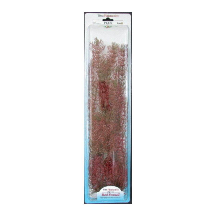 PLANTA FOXTAIL (28-33cm) - Imagen 1