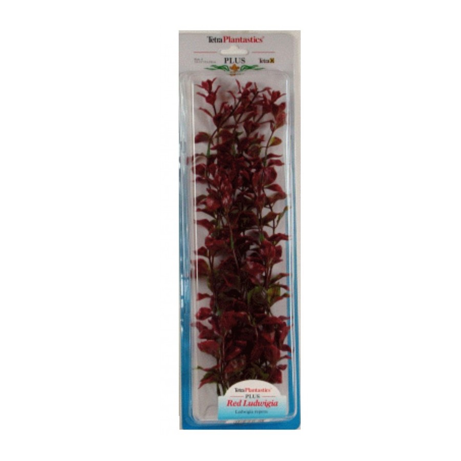 PLANTA RED LUWIGIA (35-38cm) - Imagen 1