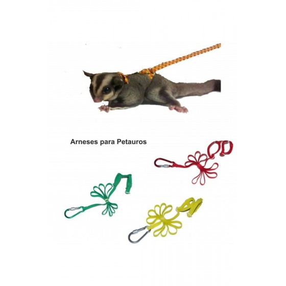 ARNES PARA PETAUROS (Surtido colores) - Imagen 1