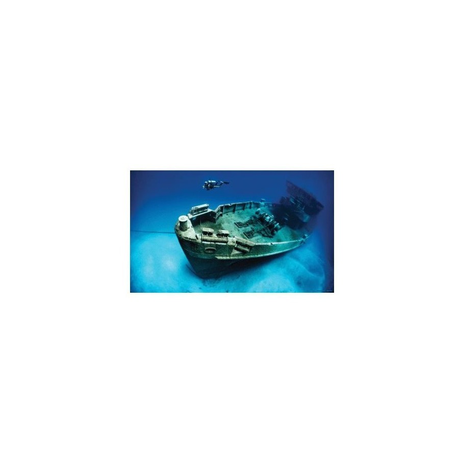 POSTER VINILO PECIO 61x40cm. - Imagen 1 POSTER VINILO PECIO 61x40cm. - Imagen 1