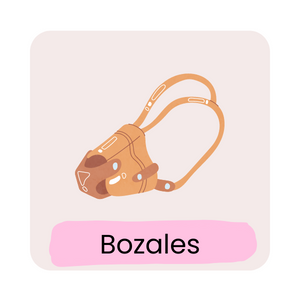 Bozales.png